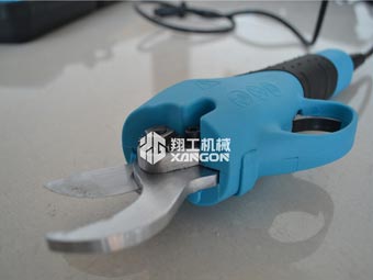 果樹修剪時，電動修枝剪助您一臂之力